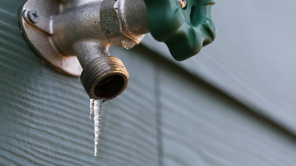 Best Same-Day Plumbing Service  in Three Points, AZ